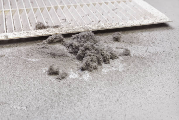 Best Ductwork Cleaning Services  in Morse, LA