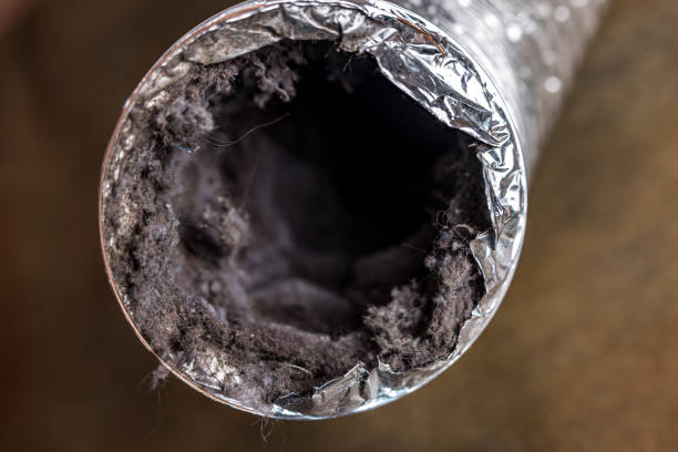 Best Commercial Air Duct Cleaning  in Morse, LA