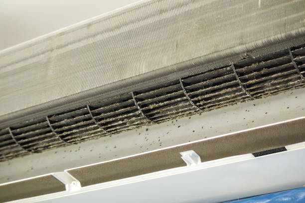 Best Air Duct Sanitizing Services  in Morse, LA
